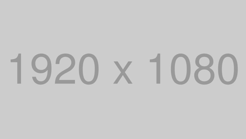 Data Analyst